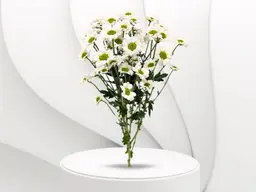 Baby Creez Flower